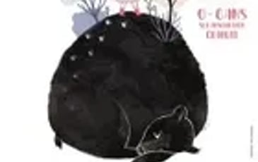La saison des ours