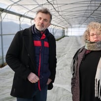 Géopolitique du petit pois