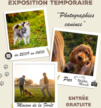 Exposition temporaire "photographies canines"