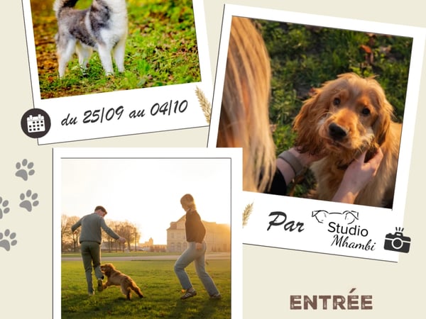 Exposition temporaire "photographies canines"
