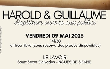 Spectacle "Guillaume & Harold" de Gaëlle Bourges - Saison culturelle OMAC