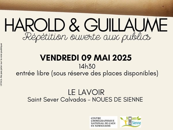 Spectacle "Guillaume & Harold" de Gaëlle Bourges - Saison culturelle OMAC