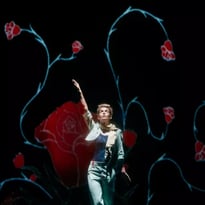 Spectacle musical "Le Petit Prince"