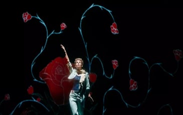 Spectacle musical "Le Petit Prince"