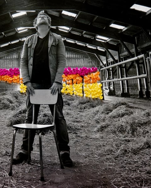 Mon Père Avait 3 Vaches