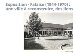 Falaise