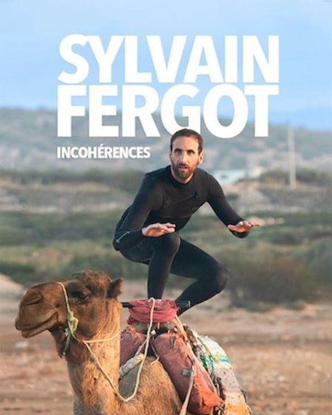Sylvain Fergot dans Incohérences