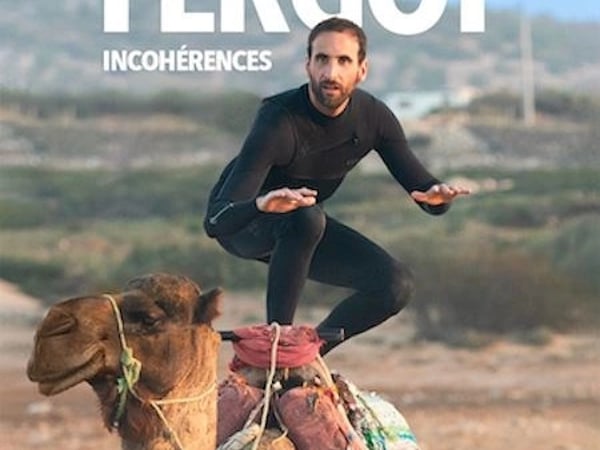 Sylvain Fergot dans Incohérences