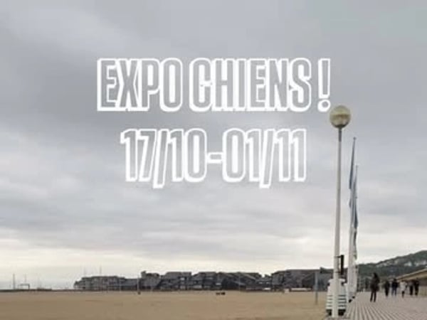 Exposition à La Marbrerie - Chiens !
